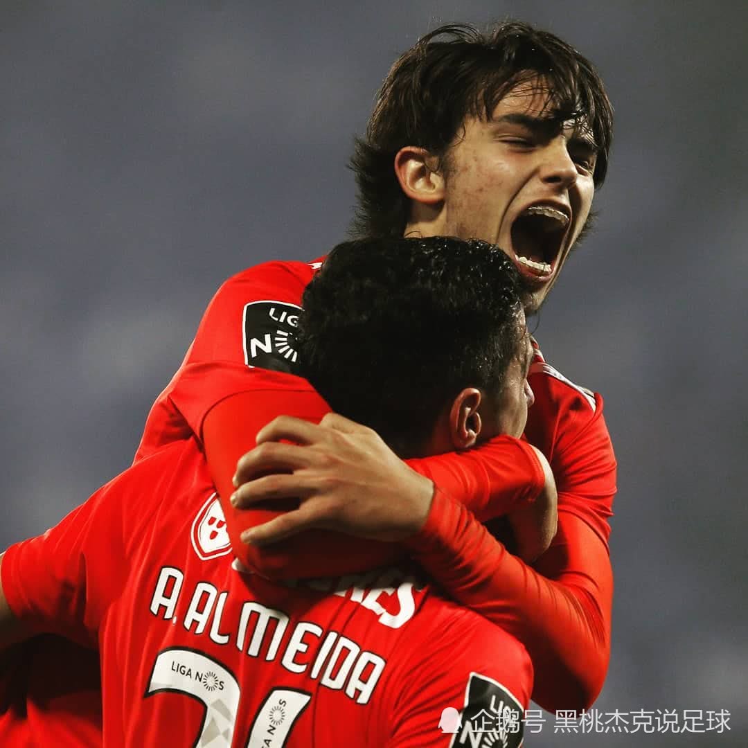  山东大货车闯入暴走团事件 